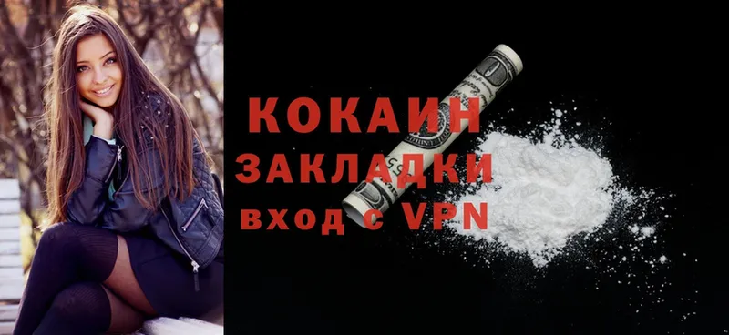 где купить   Верхний Тагил  COCAIN Fish Scale 